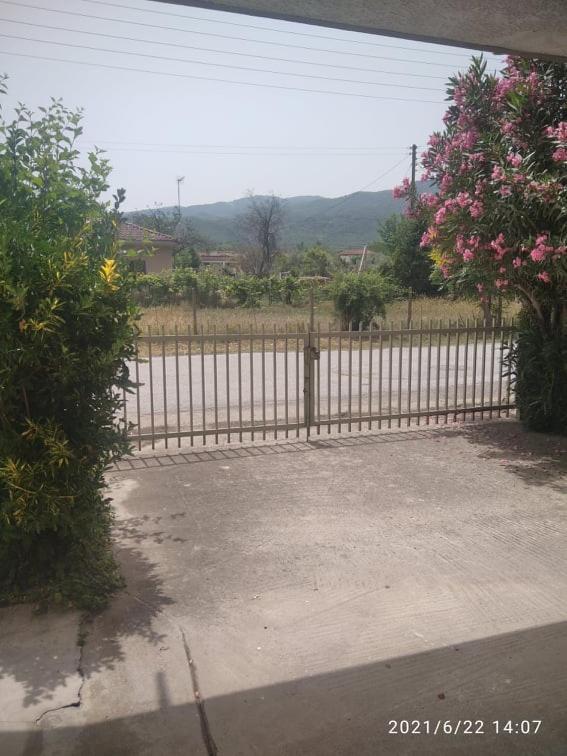 Little Beauty - Happyhostgr - In Platamonas Apartment Bagian luar foto